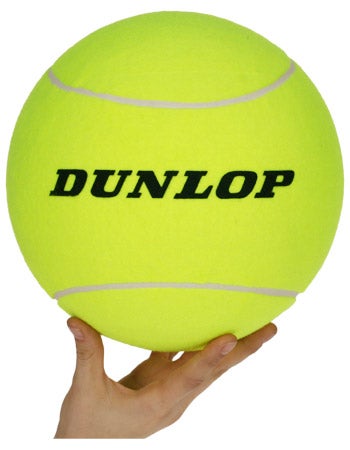 dunlop ball price