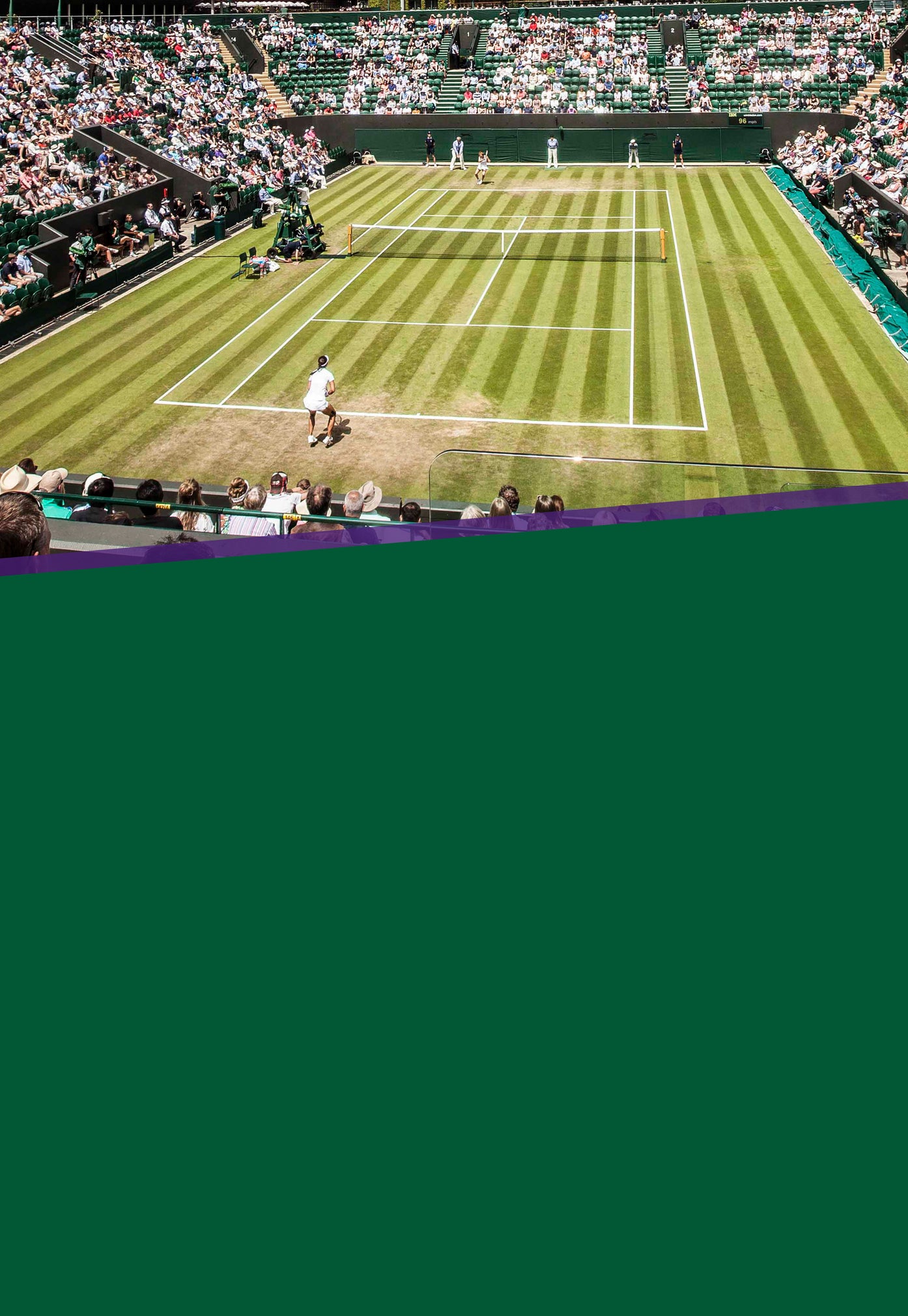 Tennis Warehouse Tennis racquets, tennis shoes, tennis apparel, string, tennis balls & rackets