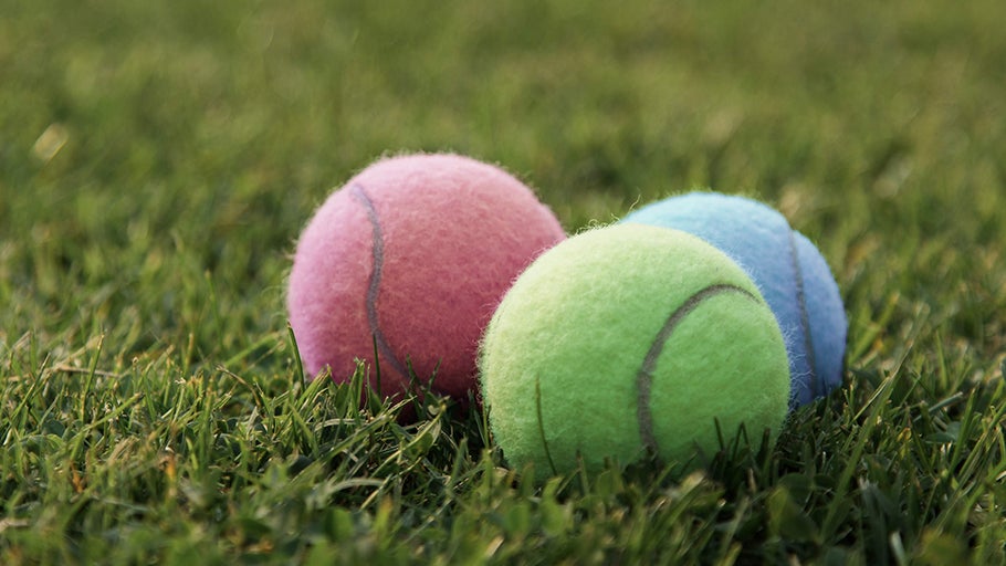 TW Easter Egg Hunt: Finding the Best Deals & Gear