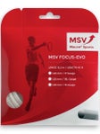MSV Focus Evo 16L/1.25 String