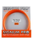 Signum Pro Poly Plasma 17/1.23 String