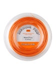 Signum Pro Poly Plasma 17L/1.18 Reel - 660'