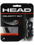 Head Velocity MLT 16/1.30 String