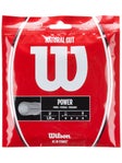 WILSON NATURAL GUT TENNIS STRING