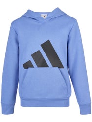 adidas Boy's Fall Big Logo Fleece Hoodie