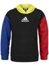 adidas Boy's Fall Freestyle Hoodie