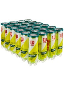 Wilson Champ RD Tennis Ball 4 Can Pack x 6
