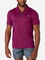 Lacoste Men's Fall Players Polo