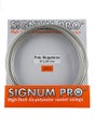Signum Pro Poly Megaforce 16/1.29 String