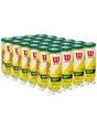 Wilson Champ Regular Duty Tennis Ball 24 Can Case