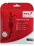 MSV Focus Evo 16/1.30 String