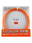 Signum Pro Poly Plasma 16L/1.28 String