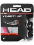Head Velocity MLT 16/1.30 String