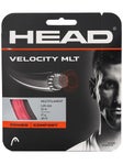 Head Velocity MLT 17/1.25 String